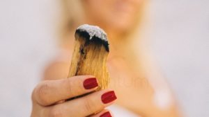 ξύλο πάλο σάντο θυμίαμα premium grade