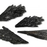 Κυανίτης Μαύρος Φτερό