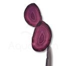 Μελωδός Με μωβ Φέτες Αχάτη