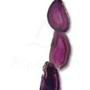 Μελωδός Με μωβ Φέτες Αχάτη