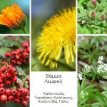 Λεμφικό Βάμμα