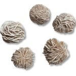 Ρόδο Της Ερήμου Λευκό