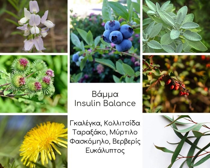 Insulin Balance βάμμα
