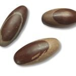 Shiva Lingam Βότσαλο