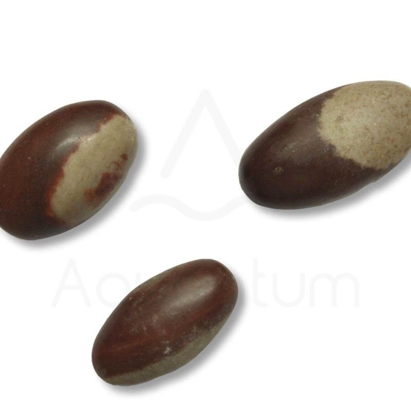 λίθος Shiva Lingam μεσαίο μέγεθος