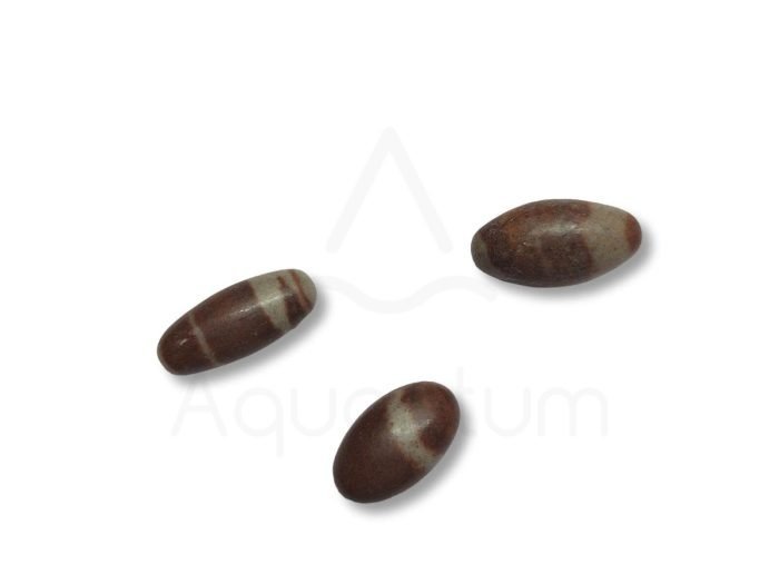 βότσαλο Shiva Lingam εξαιρετικής ποιότητας μικρό μέγεθος βότσαλο Shiva Lingam εξαιρετικής ποιότητας μικρό μέγεθος