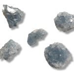 Σελεστίτης Σύμπλεγμα