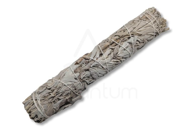 Λευκό Φασκόμηλο Smudge Stick Λευκό Φασκόμηλο Smudge Stick