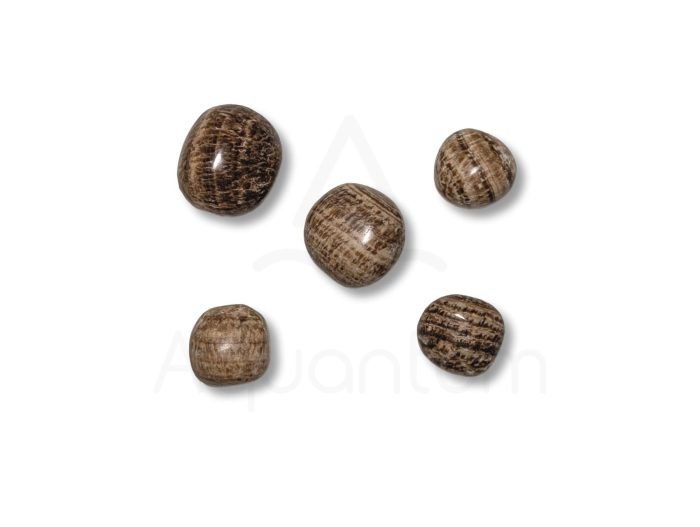 αραγωνίτης καφέ βότσαλα βότσαλα καφέ αραγωνίτης