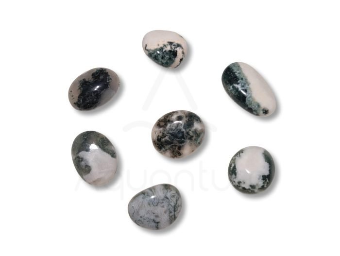 αχάτης βρυώδης moss agate βότσαλο βρυώδης αχάτης moss βότσαλα
