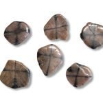 Χιαστόλιθος Βότσαλο