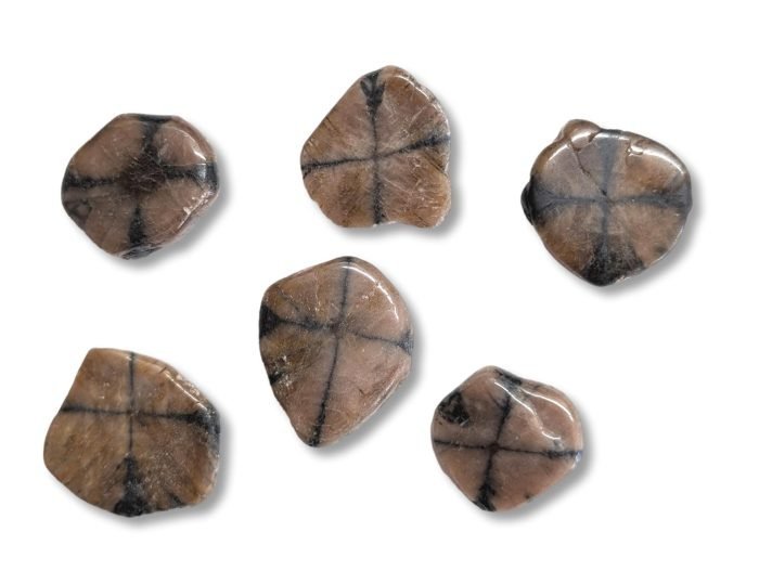 ημιπολύτιμος λίθος χιαστόλιθος βότσαλο ημιπολύτιμος λίθος χιαστόλιθος βότσαλο