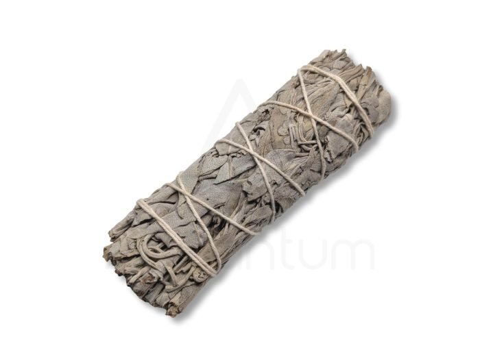 θυμίαμα μικρό μέγεθος Λευκό Φασκόμηλο Smudge Stick θυμίαμα μικρό μέγεθος Λευκό Φασκόμηλο Smudge Stick