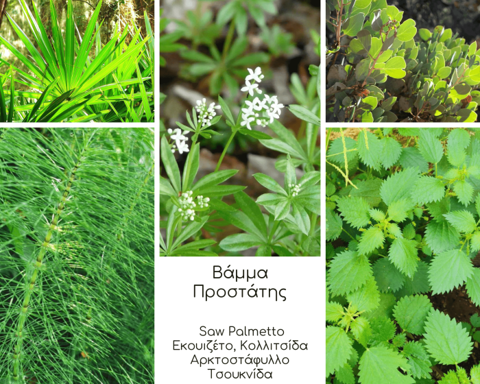 prostate βάμμα prostate βάμμα